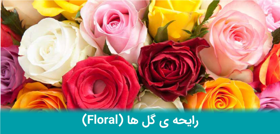 رایحه ی گل ها (Floral)